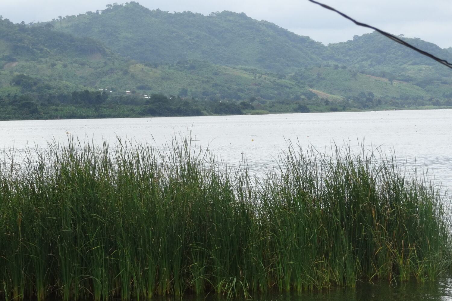 Lake (8)